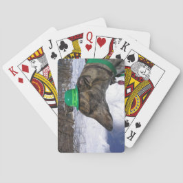 Baralho Vou Correr contigo!"