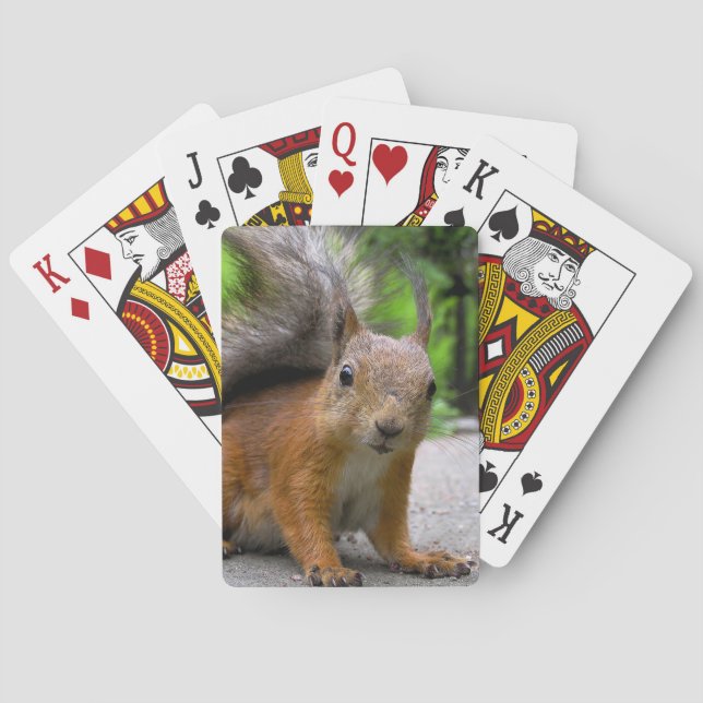 Baralho Whatcha obteve? (Verso)