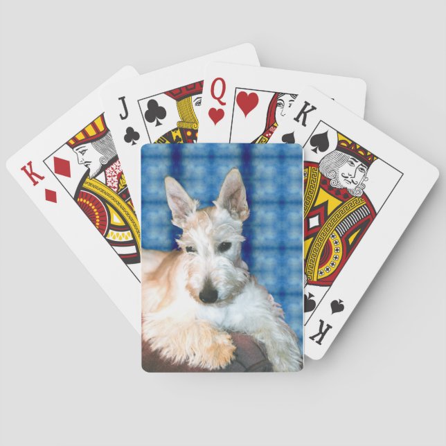 Baralho Whaten Scottie Playing Cards (Verso)