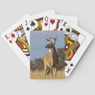 Baralho Whitetail Buck
