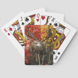 Baralho Whitetail No Outono