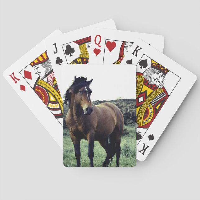Baralho Wild Mustang Deck de Cartões (Verso)