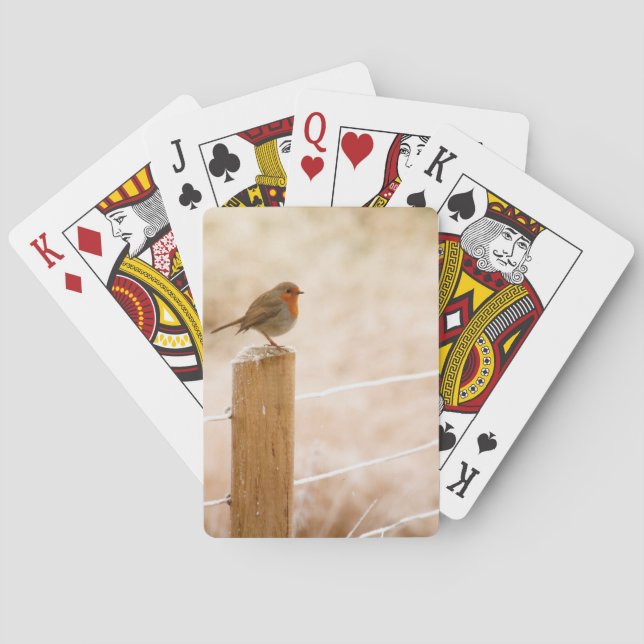 Baralho Winter Robin Redbreast (Verso)