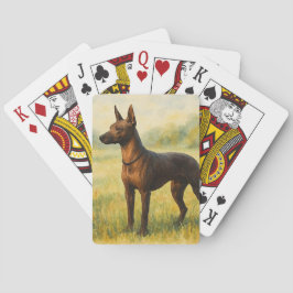 Baralho Xoloitzcuintli