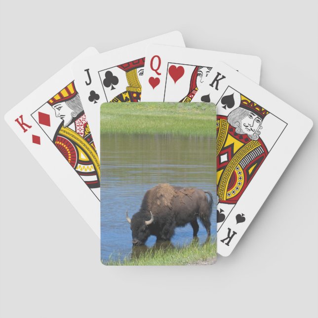 Baralho Yellowstone Buffalo Souvenir (Verso)