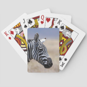 Baralho Zebra
