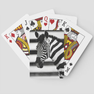 Baralho Zebra