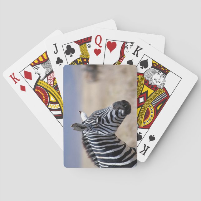 Baralho Zebra (Verso)