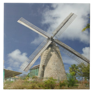 BARBADOS, Costa Nordeste, Morgan Lewis: Morgan
