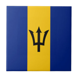 Barbados Flag