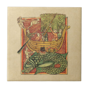 Barco Naufragado em Baleia