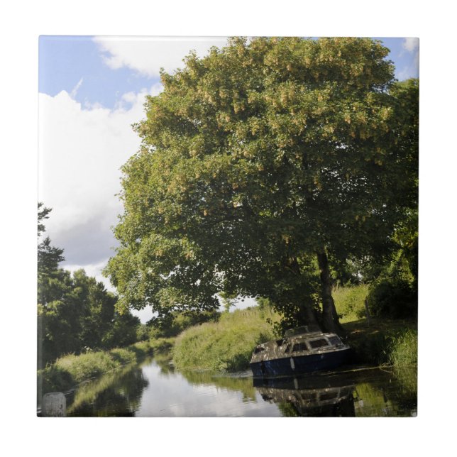 Barcos do Canal (Frente)