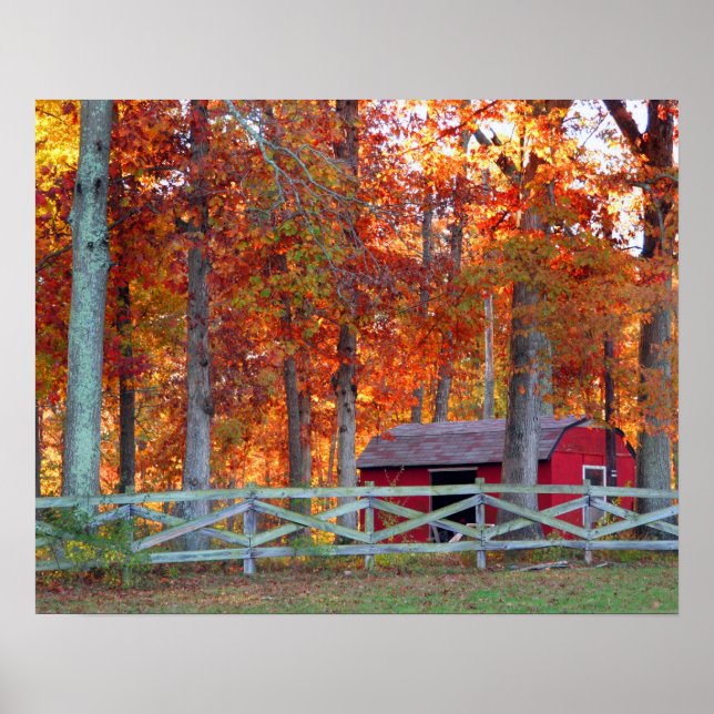 Barn Impressão (Frente)