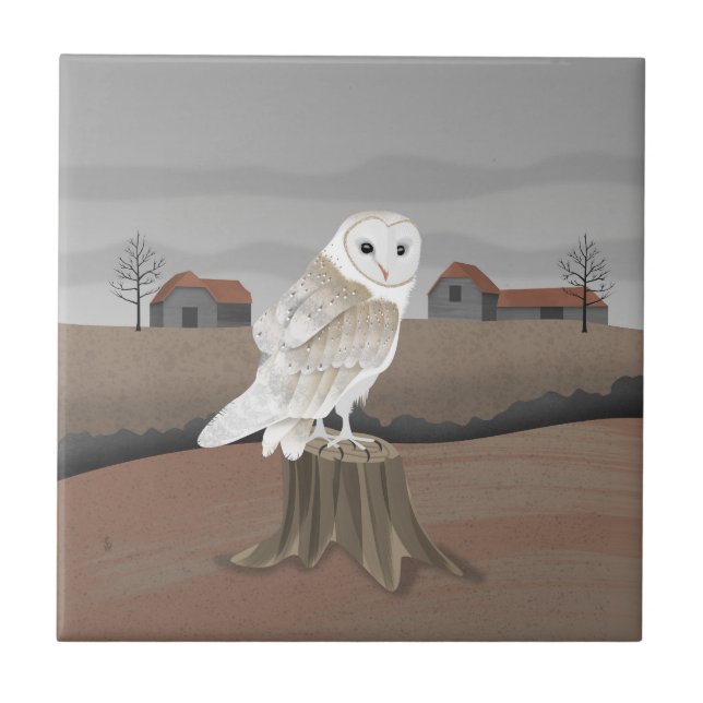 Barn Owl (Frente)