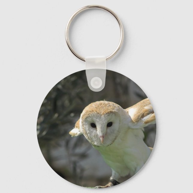 Barn Owl Chaveiro (Frente)