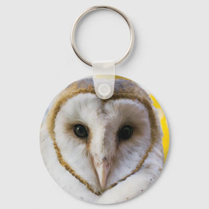 Barn Owl Chaveiro