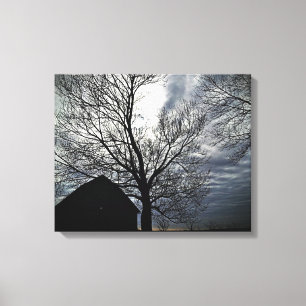 Barn w/Sky & Bare Trees Canvas Foto Preta e Branca