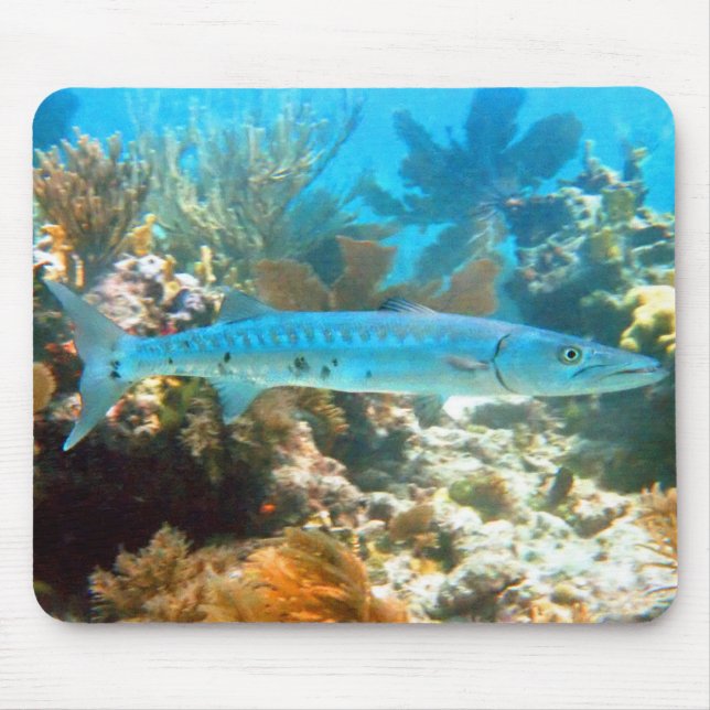 BARRACUDA MOUSEPAD (Frente)