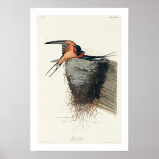 Barramento de Barn por Poster de Audubon
