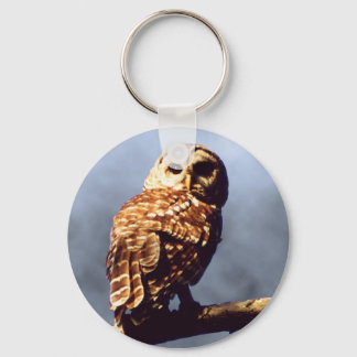 Barred Owl Chaveiro