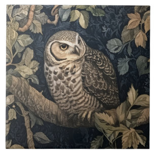 Barred Owl em uma Floresta Noturna William Morris