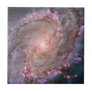 Barred Spiral Galaxy Messier 83.