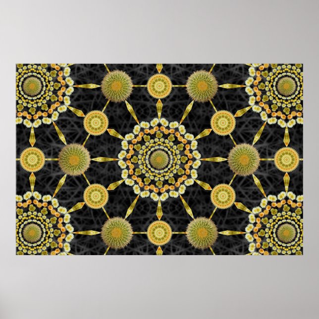 Barrel Cactus Array 1 Poster (Frente)