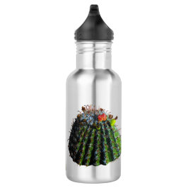 Barrel Cactus - Garrafa de Água