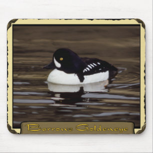 Barrows Goldeneye em Calm Lake Mousepad