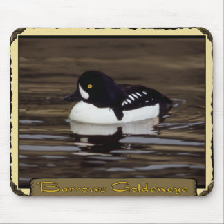 Barrows Goldeneye em Calm Lake Mousepad
