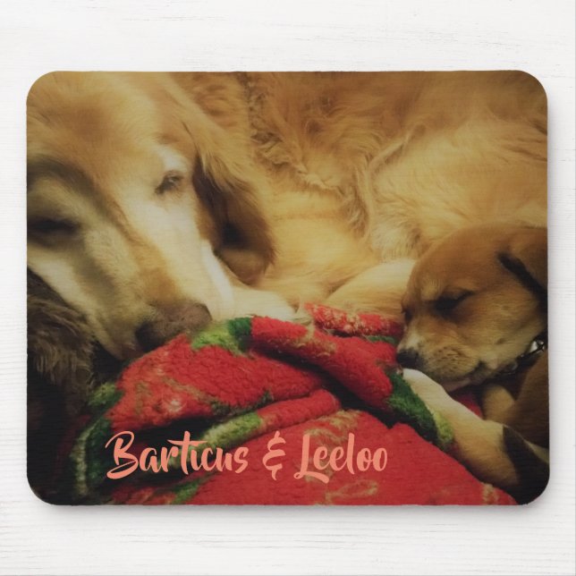 Barticus & Leeloo Mousepad (Frente)