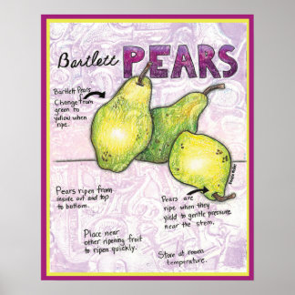Bartlett Pears Poster