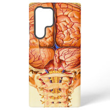 Base Cérebro E Menciona O Litógrafo