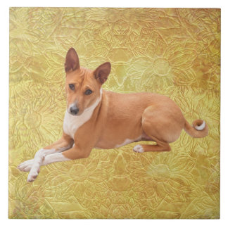 Basenji Dog 