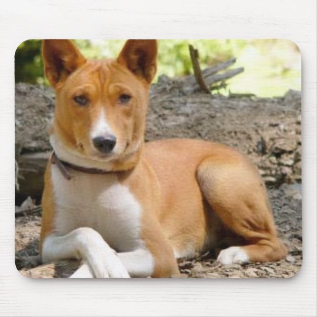 Basenji Mousepad (Frente)