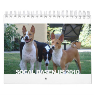 Basenjis do calendário de Socal 2010