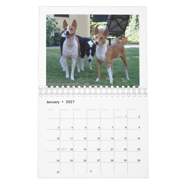 Basenjis do calendário de Socal 2010 (Jan 2027)