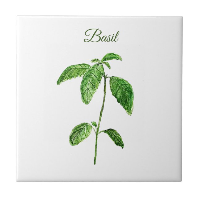 Basil Herb Greenery Kitchen Culinária Rústica Verd (Frente)
