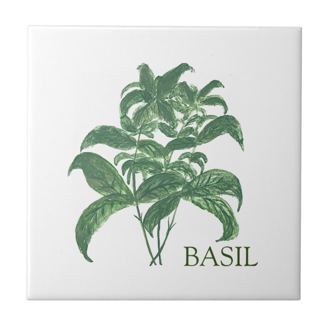 Basil Herb Greenery Kitchen Verde Culinário (Frente)