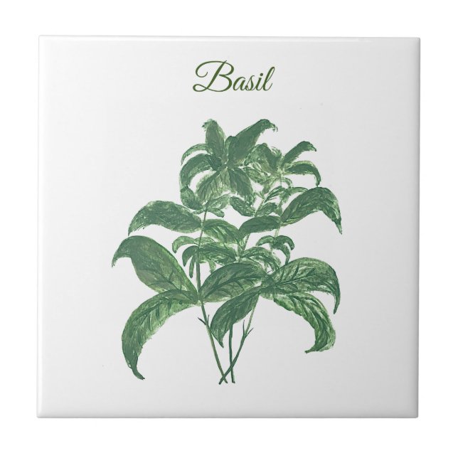Basil Herbs Greeneren Kitchen Green Plant (Frente)