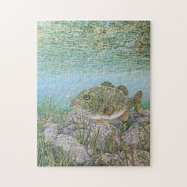 Bass Quebra-cabeça (Vertical)