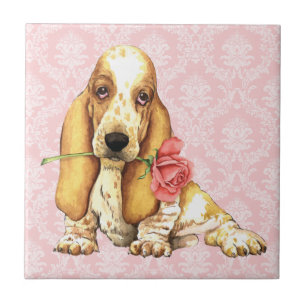 Basset cor-de-rosa dos namorados