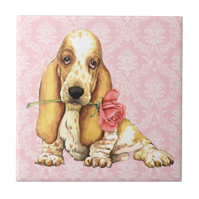 Basset cor-de-rosa dos namorados (Frente)