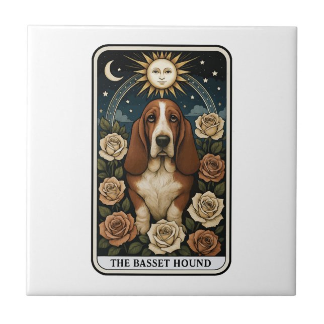 Basset Hound (Frente)