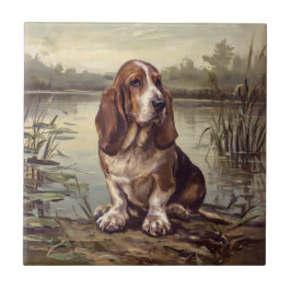 Basset Hound