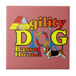 Basset_Hound_Agilidade