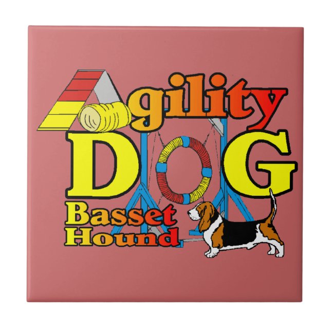 Basset_Hound_Agilidade (Frente)