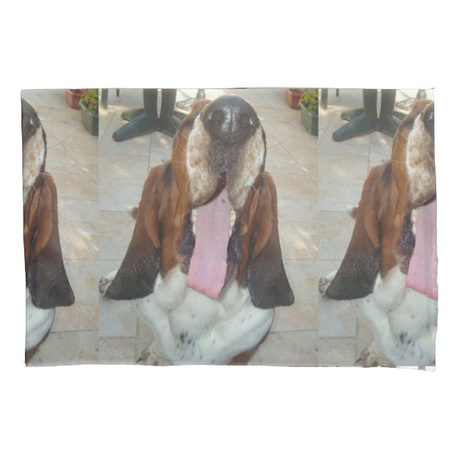 basset_hound bocejando (Frente-Esquerda)