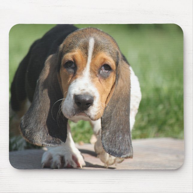 Basset Hound Mousepad (Frente)