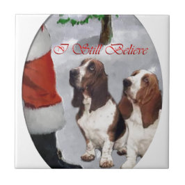 Basset Hound Natal